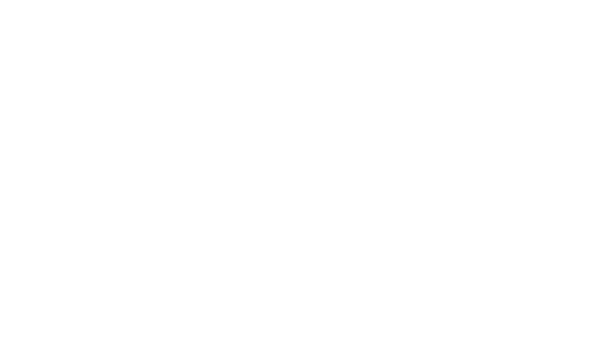 Pin Magazine