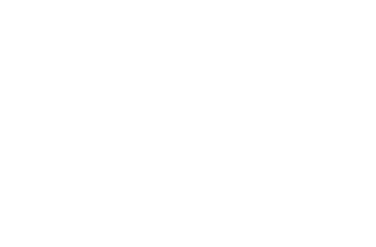 cefe international
